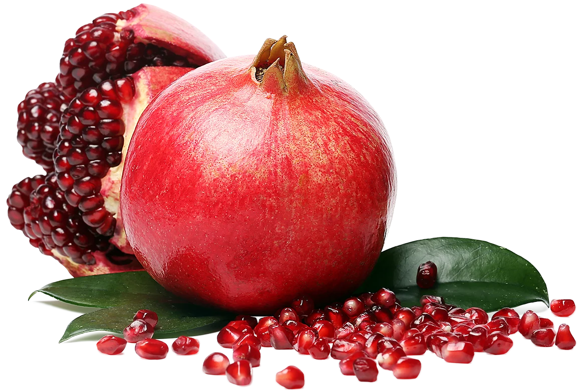 Novinky