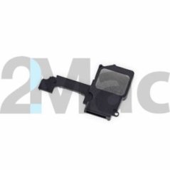 iPhone 5C 650x650 300x300 iPhone 5C 650x650 300x300
